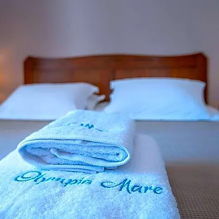 Olympia Mare Hotel Andimakhia