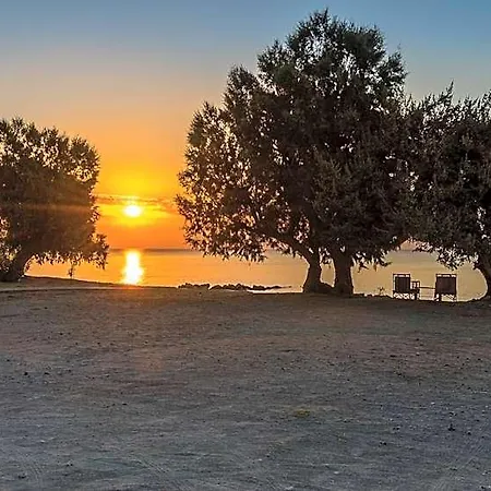 Hotel Olympia Mare Andimakhia